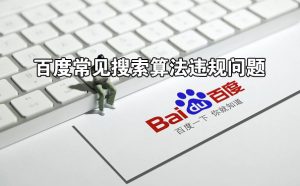 年关将至,这些常见百度算法违规问题,一定要规避哦!-薄荷云博客