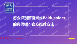 怎么识别百度蜘蛛Baiduspider的真假呢?(如何判断百度蜘蛛的真假)-薄荷云博客