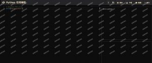python在线运行编程工具模板网页源码-薄荷云博客