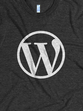 【技术分享】WordPress不闭站的情况下备案且不影响收录的解决方法