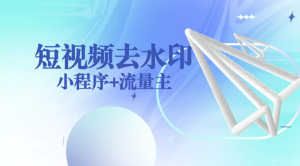 短视频去水印小程序源码+支持图集/文案提取多平台API[正版授权]-薄荷云博客