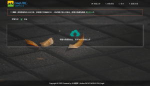 大米图床-上传API开发文档-薄荷云博客