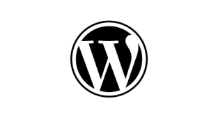 WordPress_5.9.3_中文正式版优化代码-薄荷云博客