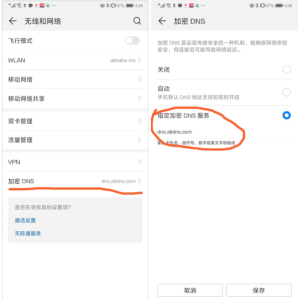 阿里、360、腾讯DNS over TLS (DoT) – 加密(私有)DNS服务器-薄荷云博客