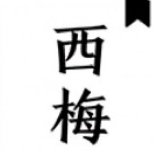 【资源分享】西梅小说(清爽版)-薄荷云博客